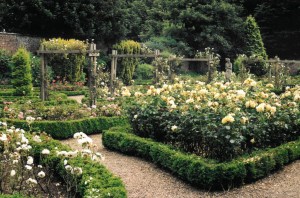 sa7r002101516092718501