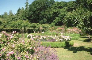 mdelimele_BqpLG9zAlNE