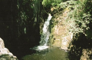 mdelimele_BqpLfc0gacs