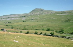 mdelimele_BqpLnWsgOfn